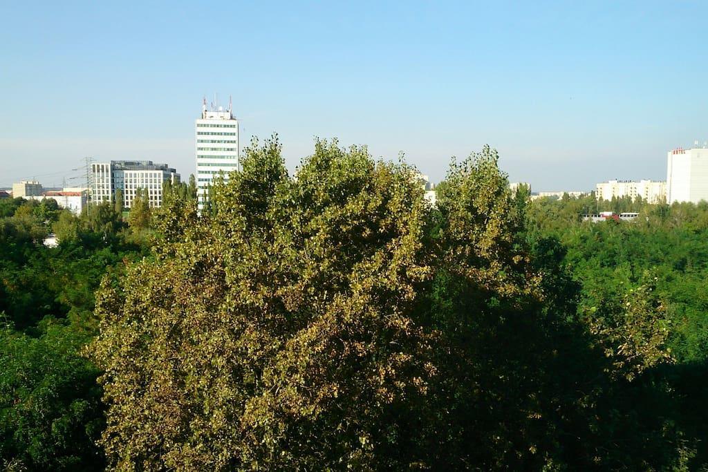 1 Bedroom Francuska Park Apartment Катовице Екстериор снимка